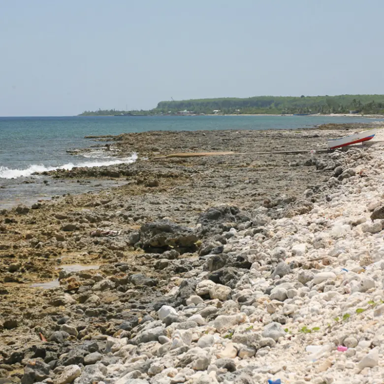 20260407094101 CIREBACaymanBracgeneral2