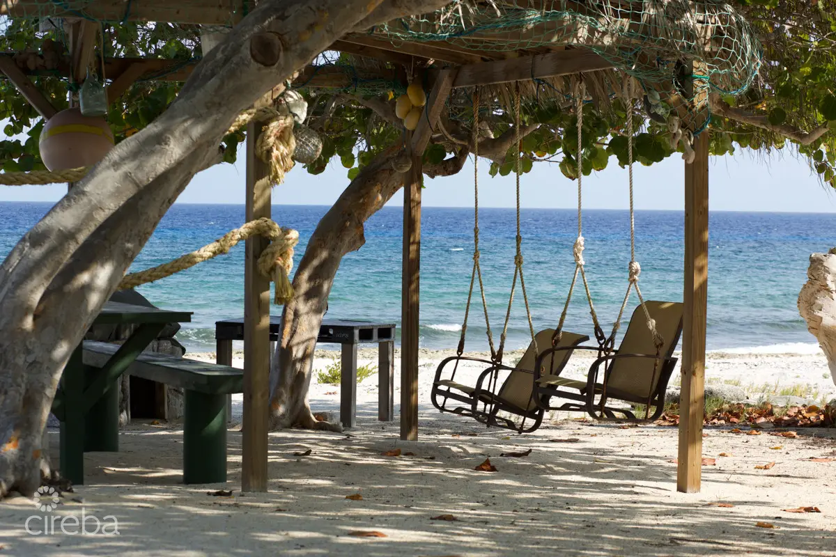 20260407094119 CIREBACaymanBracgeneral4