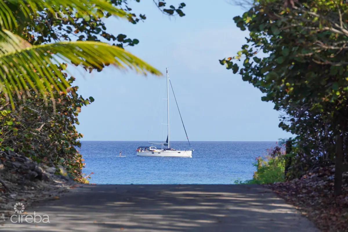 20260407094133 CIREBACaymanBracgeneral10