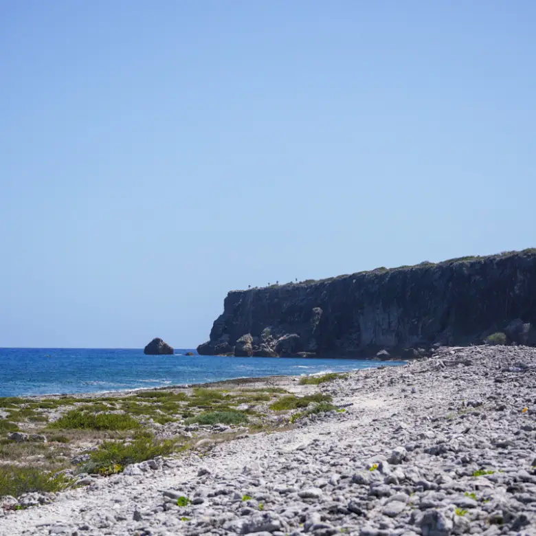 20260407094211 CIREBACaymanBracgeneral15