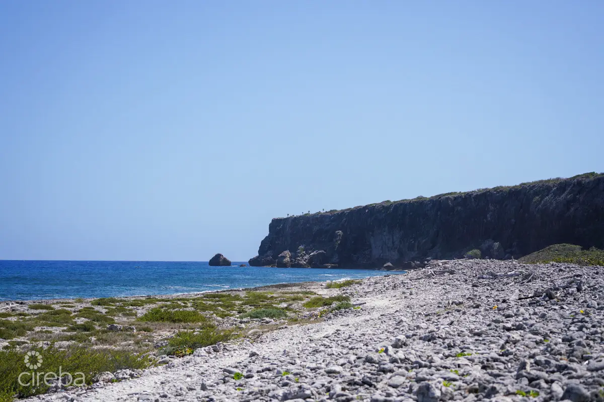 20260407094211 CIREBACaymanBracgeneral15