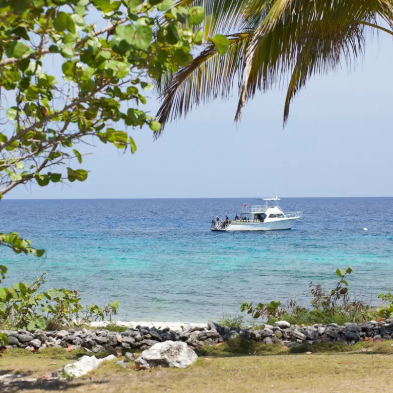 20260407094231 CIREBACaymanBracgeneral5