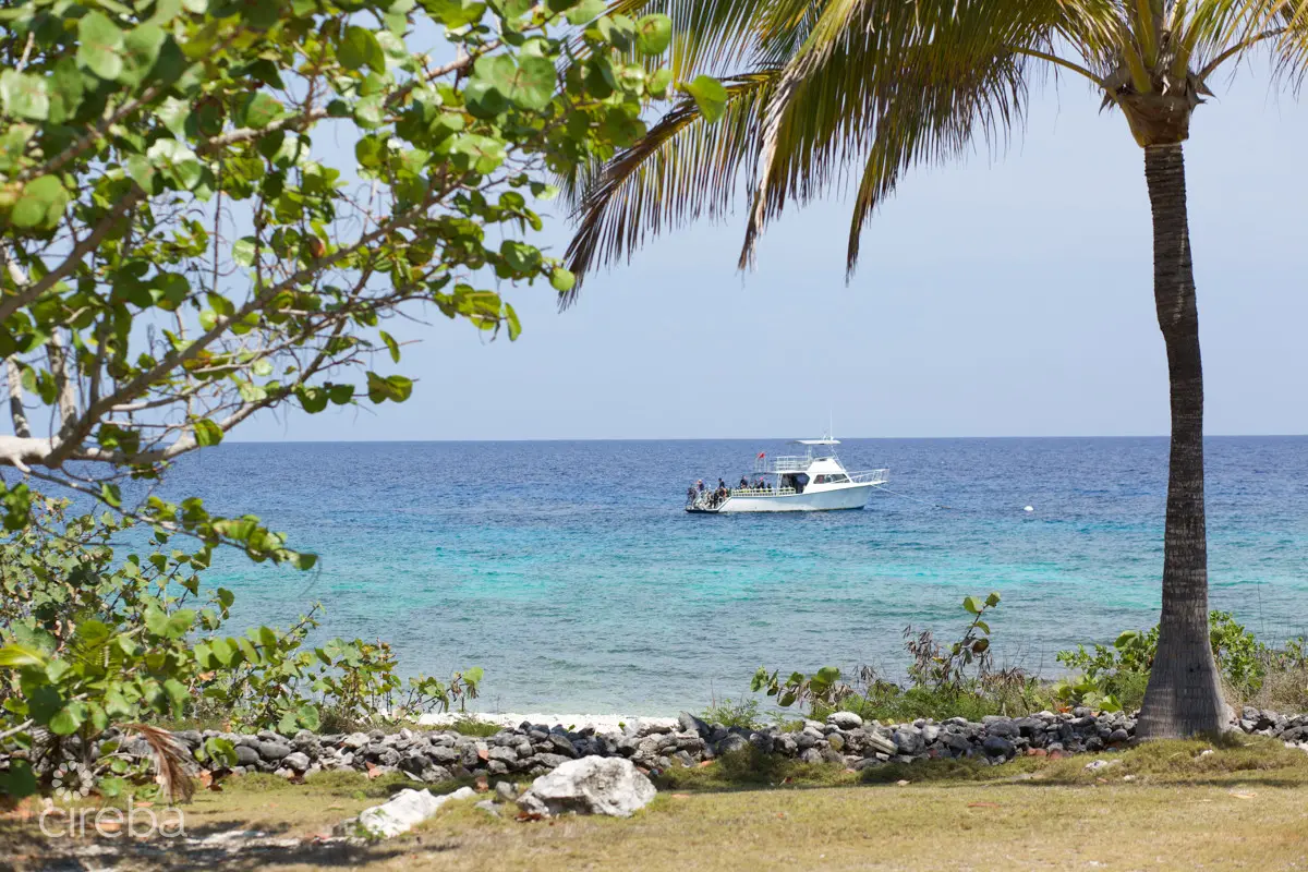 20260407094231 CIREBACaymanBracgeneral5