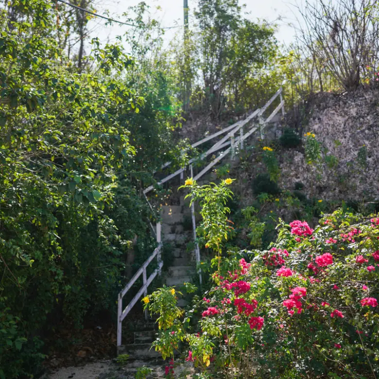 20260407094258 CIREBACaymanBracgeneral12