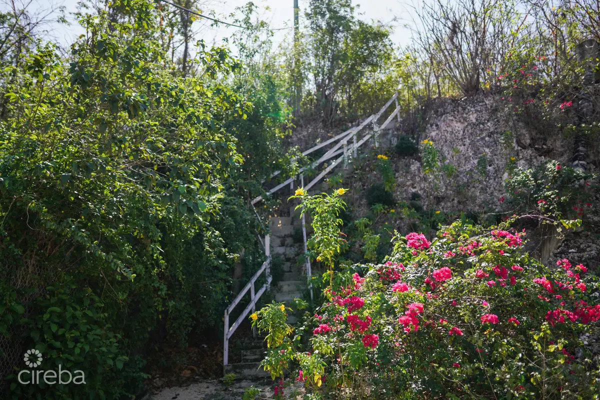 20260407094258 CIREBACaymanBracgeneral12