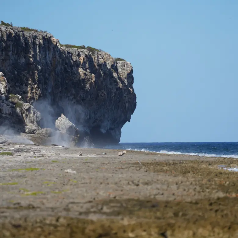 20260407094349 CIREBACaymanBracgeneral27