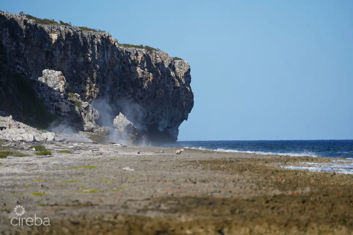 20260407094349 CIREBACaymanBracgeneral27