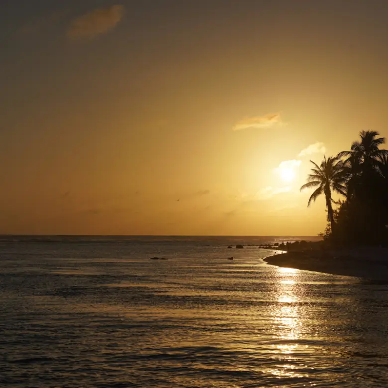 20260407094429 CIREBACaymanBracgeneral32