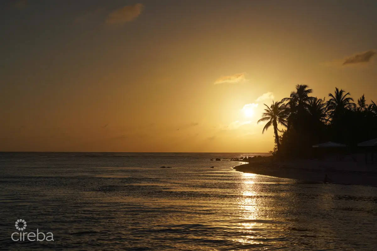 20260407094429 CIREBACaymanBracgeneral32