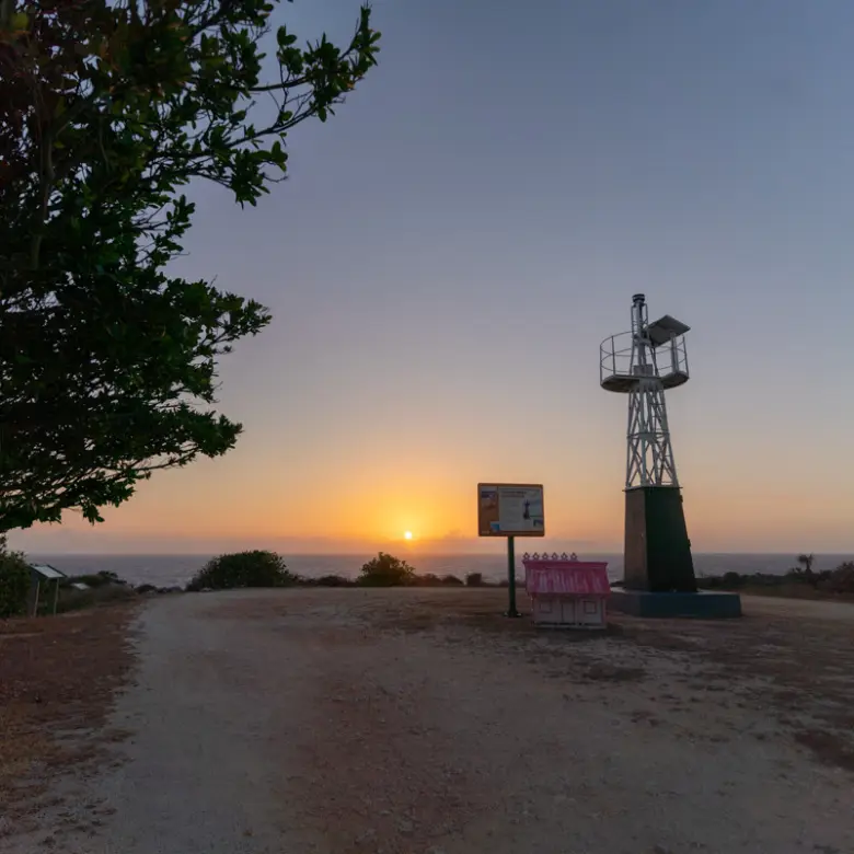 20260407094543 CIREBACaymanBracgeneral36