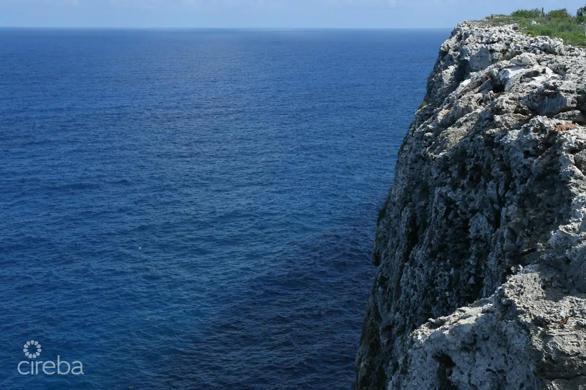 20260407094601 CIREBACaymanBracgeneral3