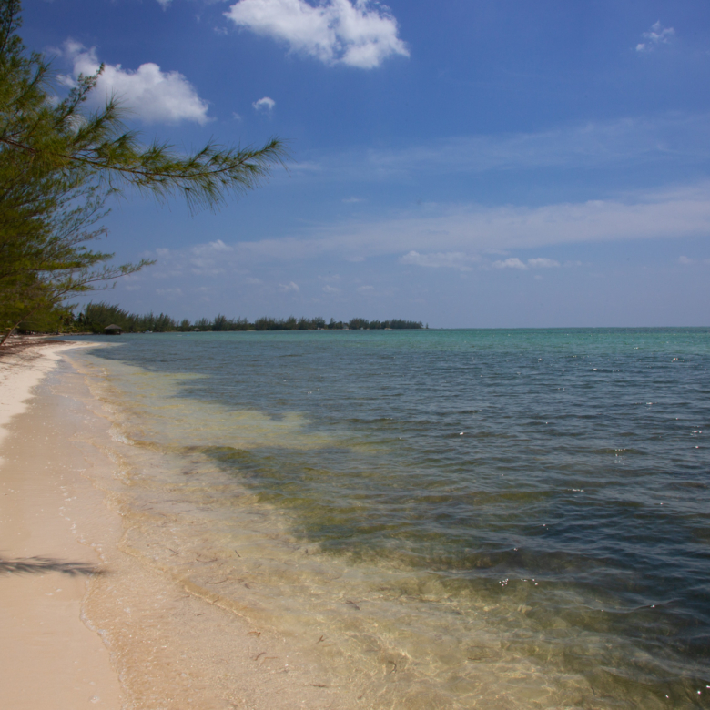 STARFISH | BEACHFRONT LAND, FRANK SOUND