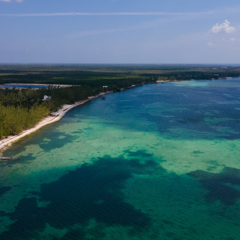 1678462008013SeaViewRoad59A244DJI0027