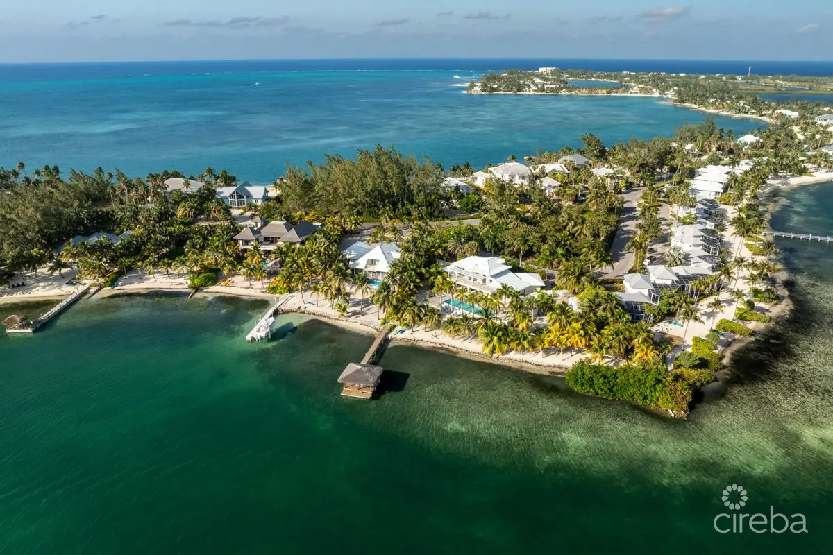 20260310100512 Kai Rose