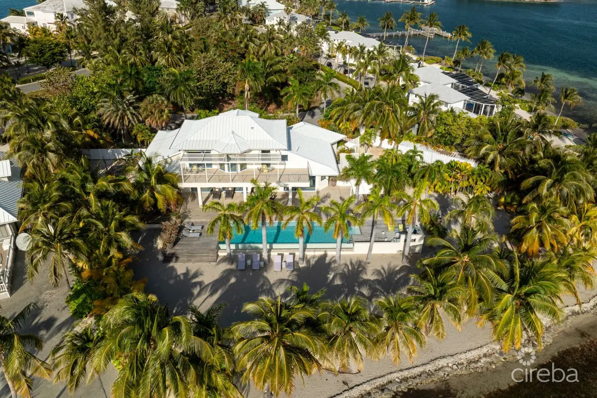 20260310100526 kai Rose