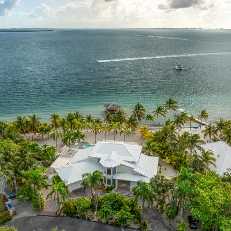 20260310100531 KaiRose