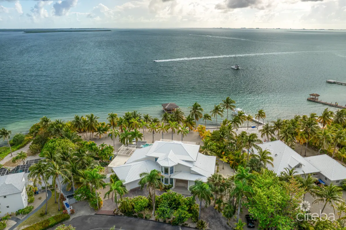 20260310100531 KaiRose