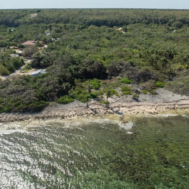 20260311121619 CIREBAbeachfront106E233