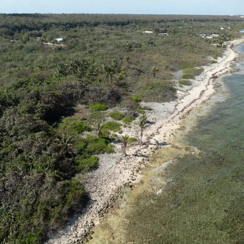 20260311121620 CIREBAbeachfront106E231