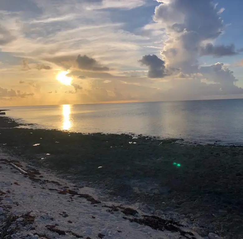 1742497781BracLotsunset