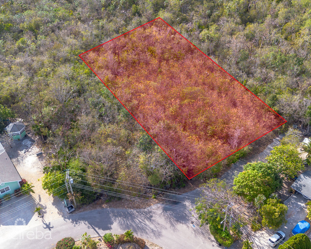 1747074425DJI0001 Edit