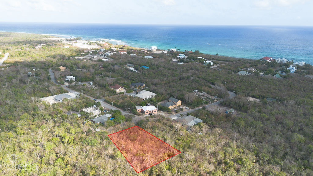 1747074436DJI0007 Edit