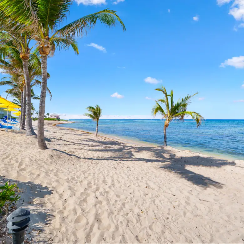 20260316125702 45 20260314a7400570