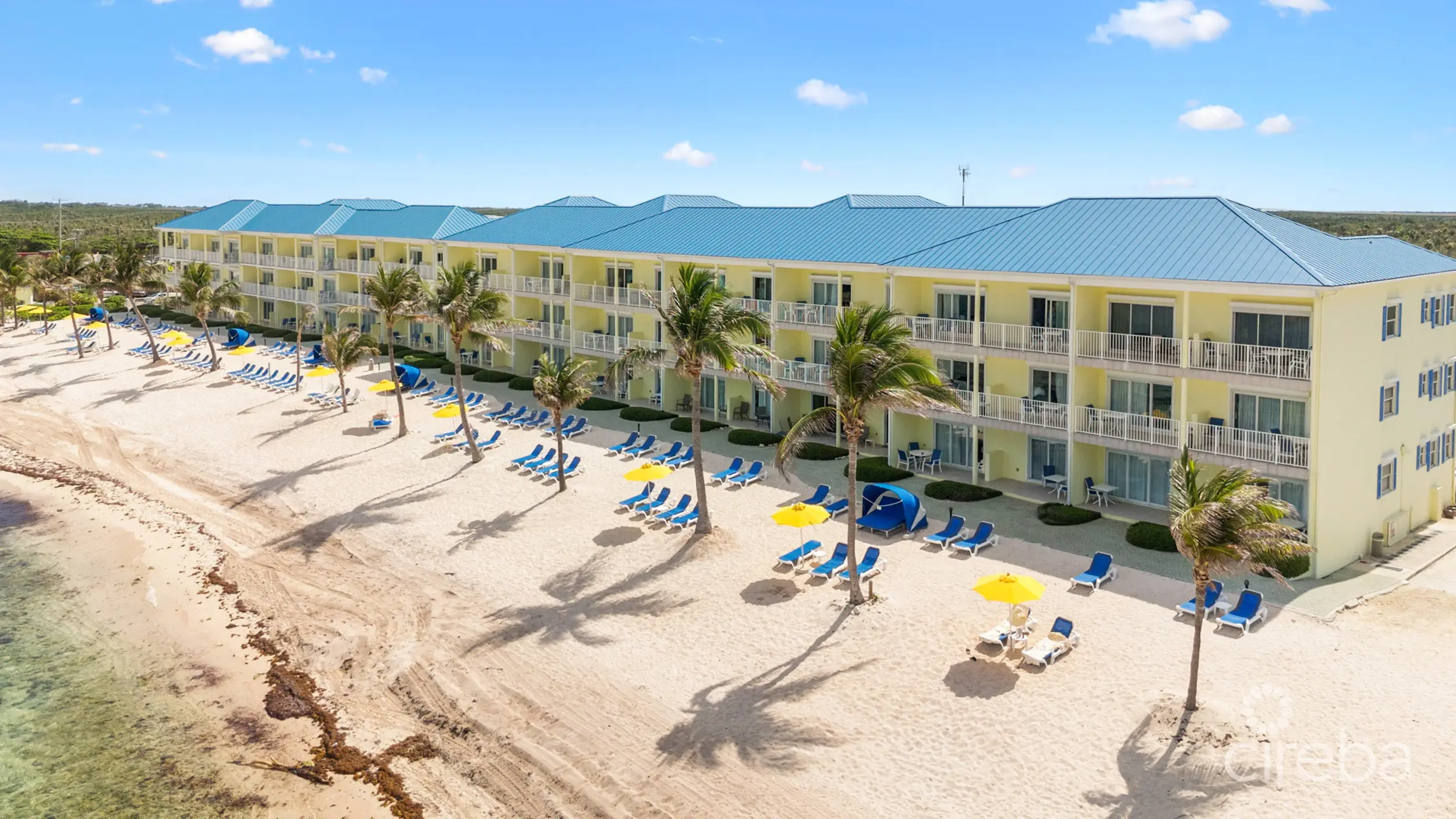 20260316125703 60 20260314dji fly 20260314 142556 0192 1773526314525 photo