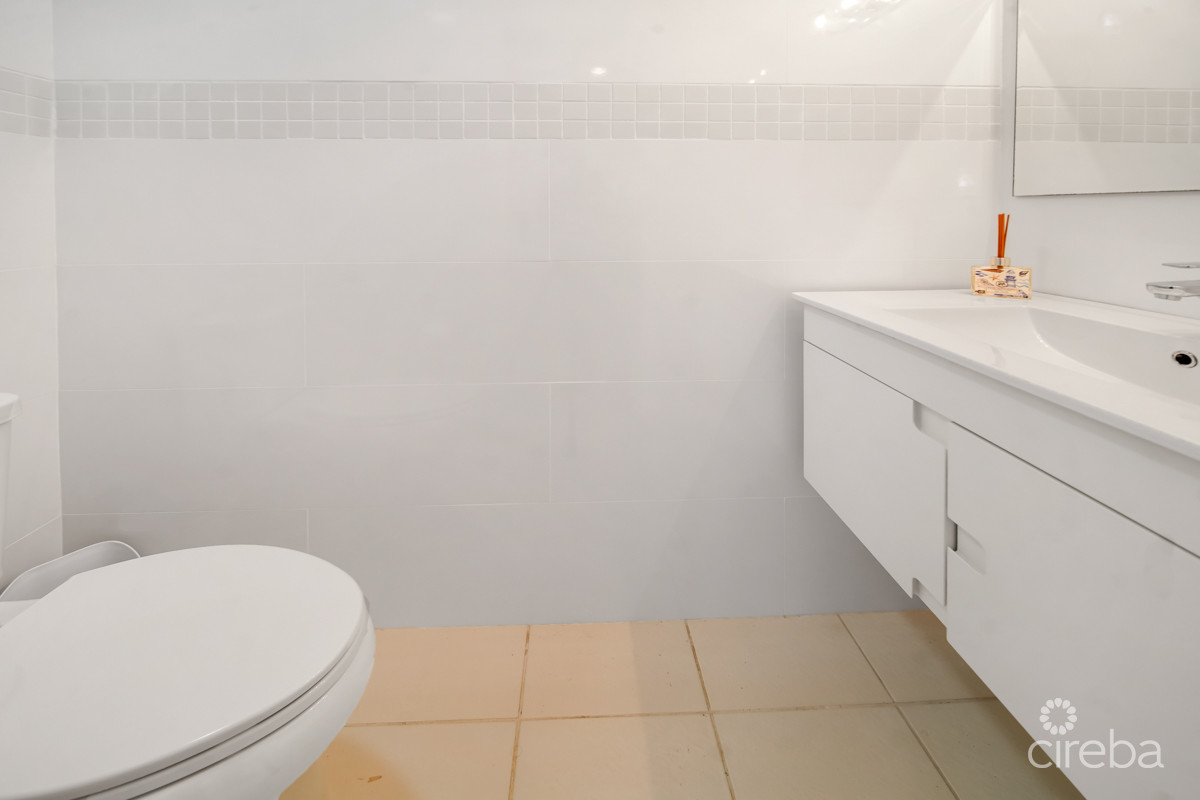 1750115344CIREBA NorthernLights8