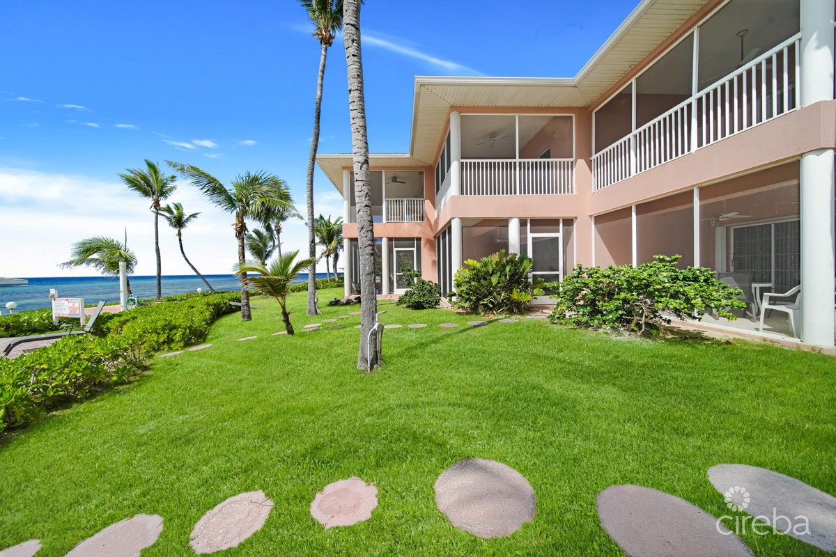 1750115368CIREBA NorthernLights8