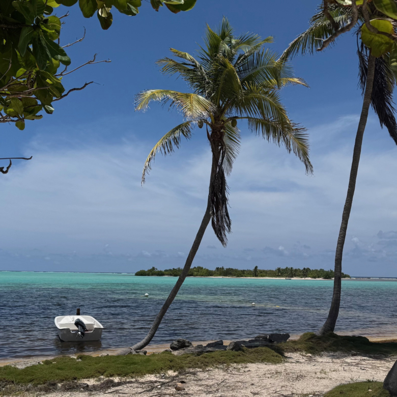 OWEN ISLAND VIEW