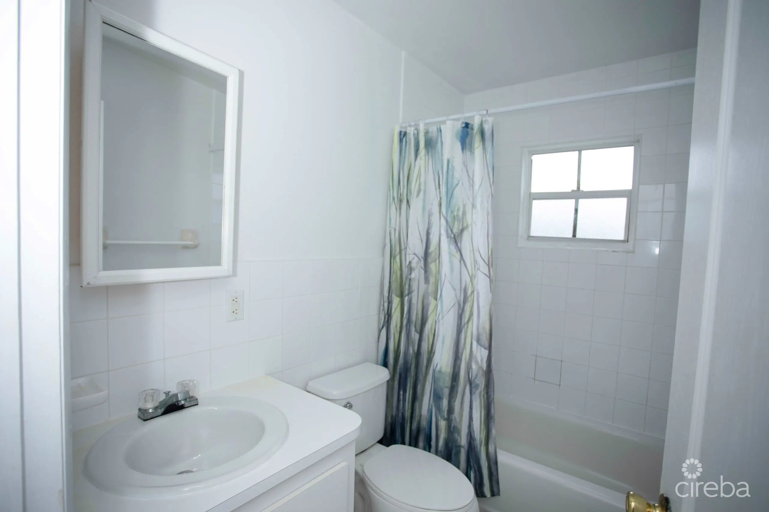 20260415152620 1W8A8102