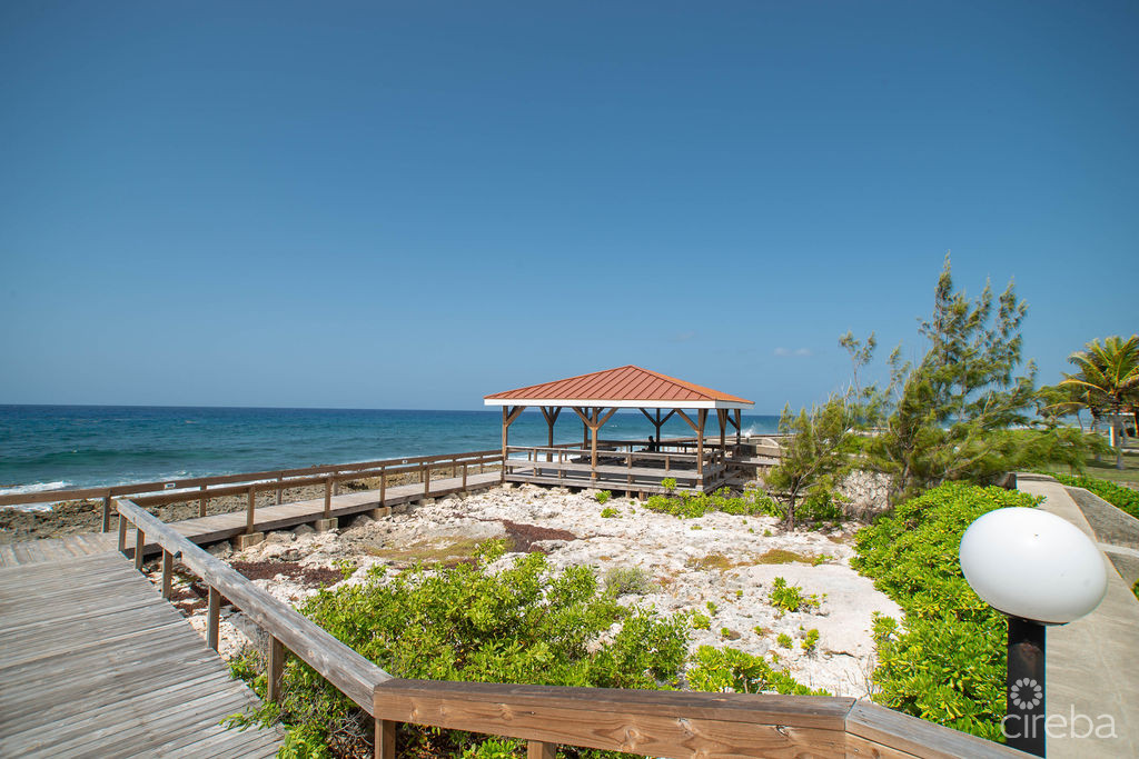 1750453436321OceanClubtrident