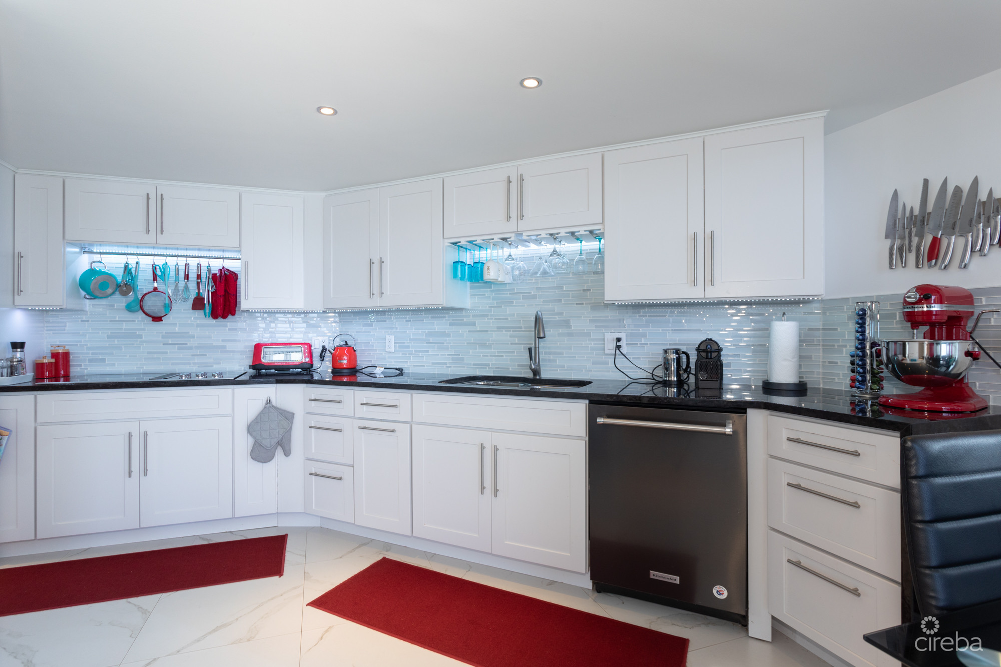 1754082481320210716 CaymanReef30 48SIR