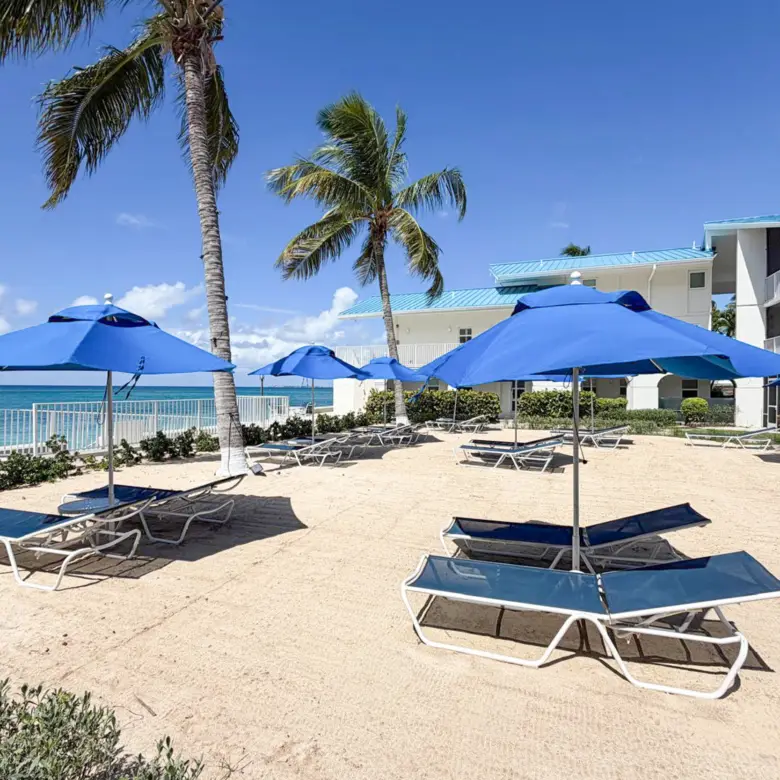 20260409101609 SIRCaymanReef12