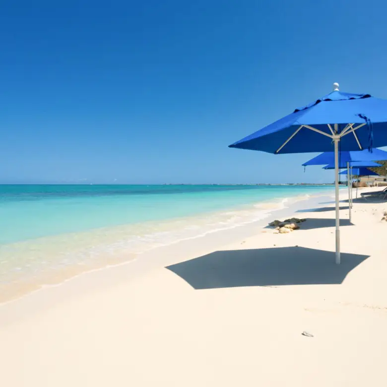 20260409101611 SIRCaymanReef42