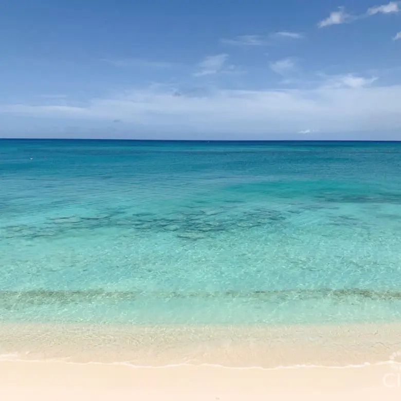 20260409101611 SIRCaymanReef62