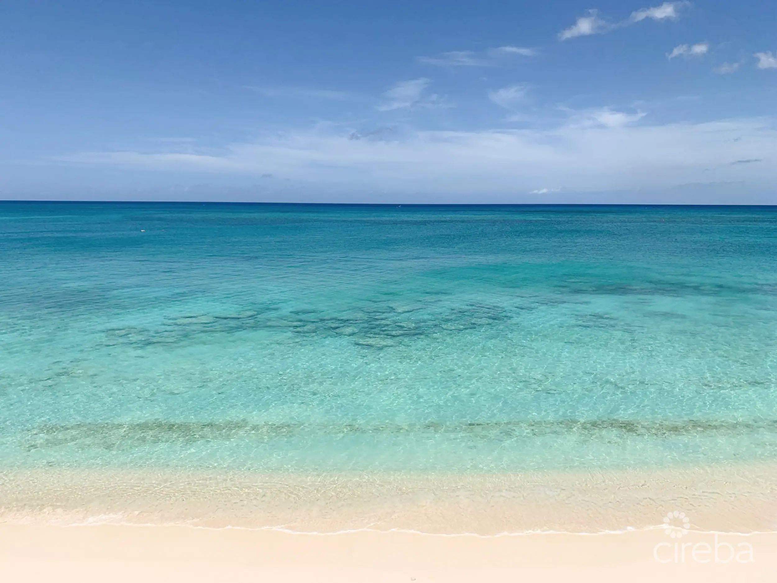 20260409101611 SIRCaymanReef62