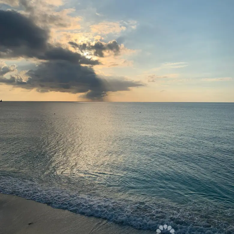 20260409101613 SIRCaymanReef82