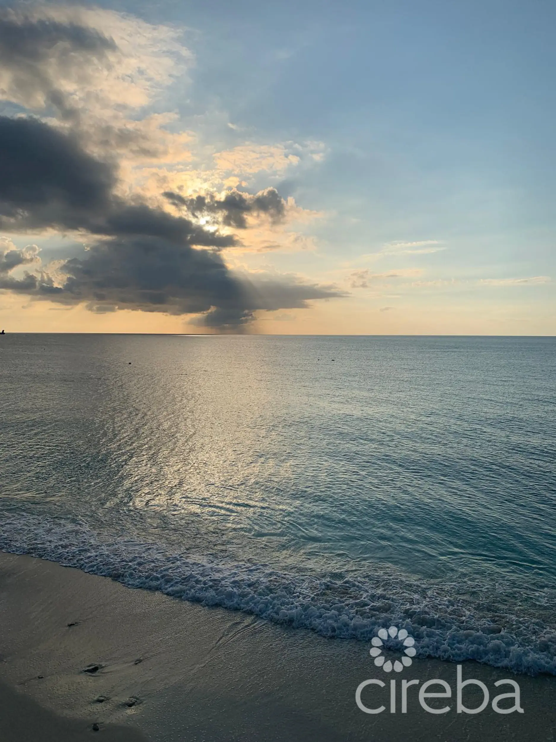 20260409101613 SIRCaymanReef82