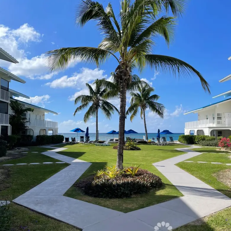 20260409101614 SIRCaymanReef52