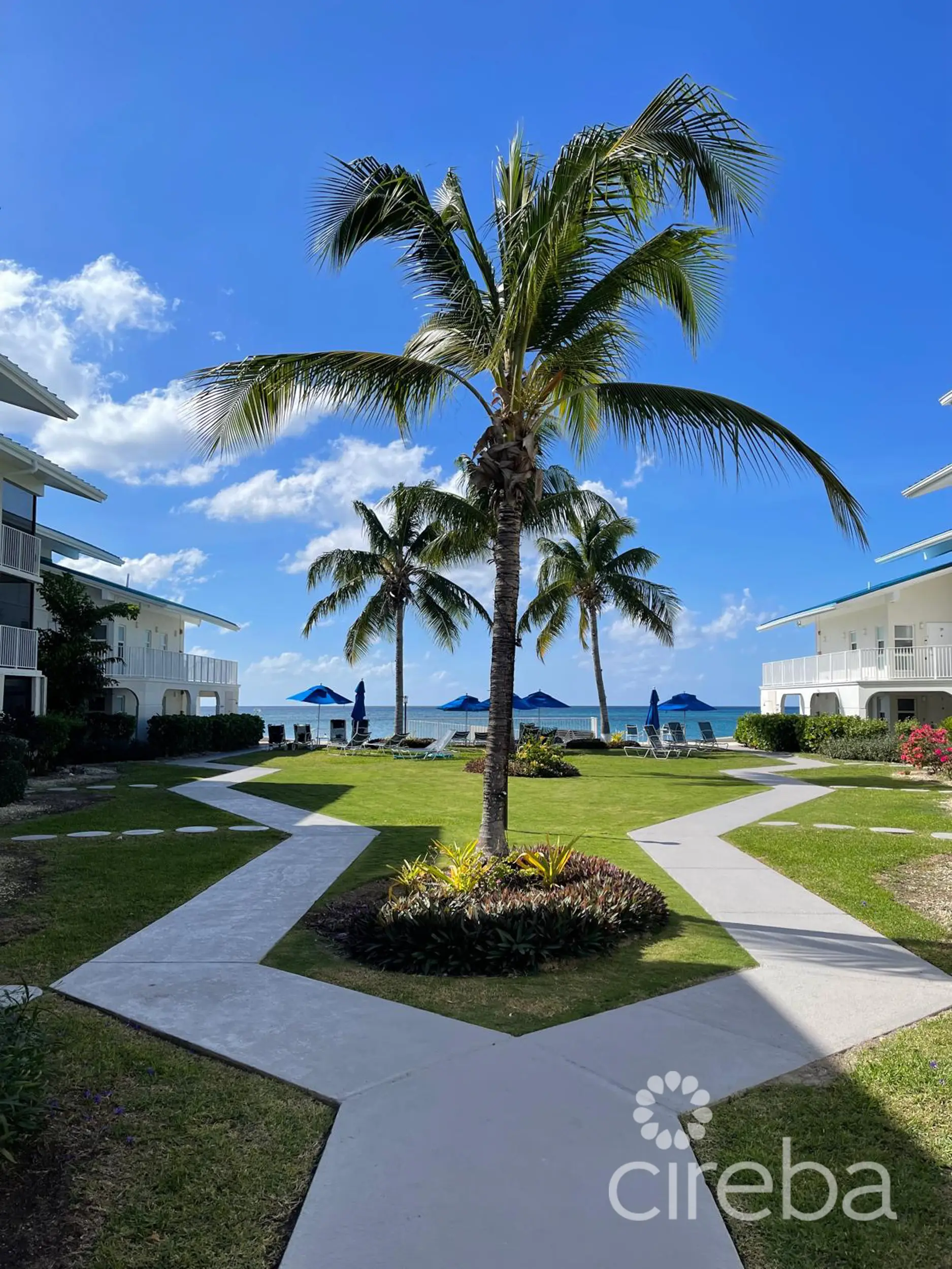 20260409101614 SIRCaymanReef52