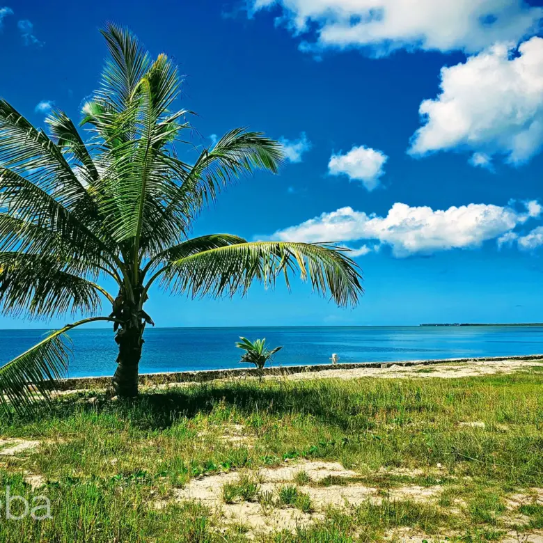 17558912081 PatricksIsland0 46Acre MichaelJoseph PropertyCaymanRealEstate