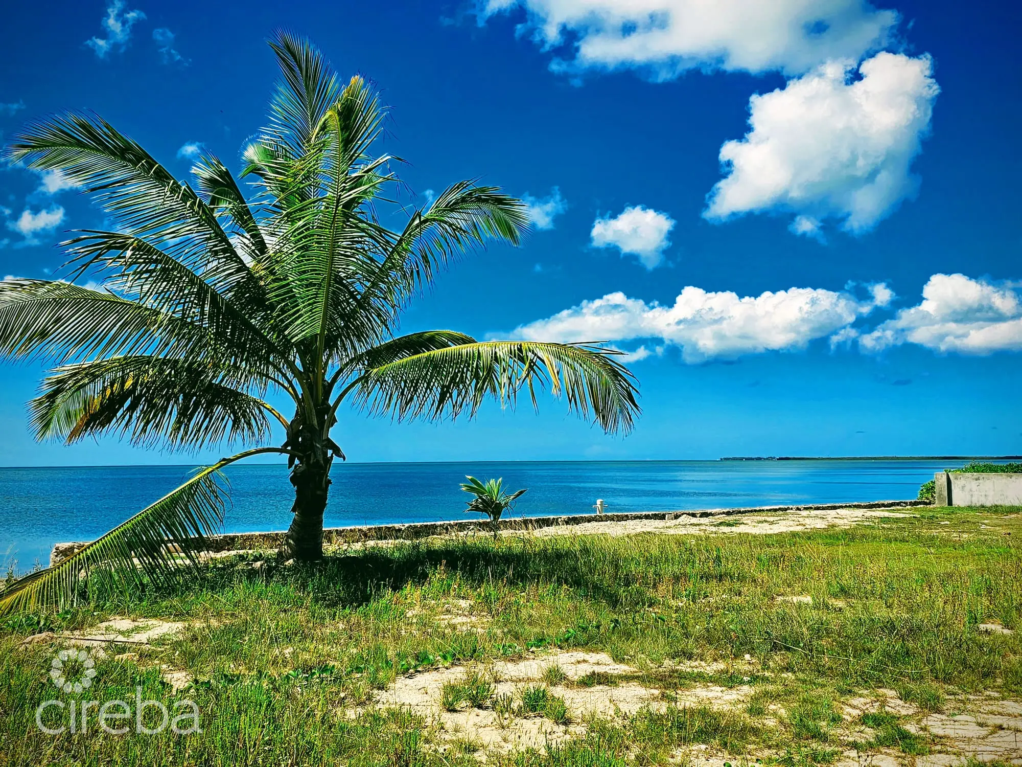 17558912081 PatricksIsland0 46Acre MichaelJoseph PropertyCaymanRealEstate