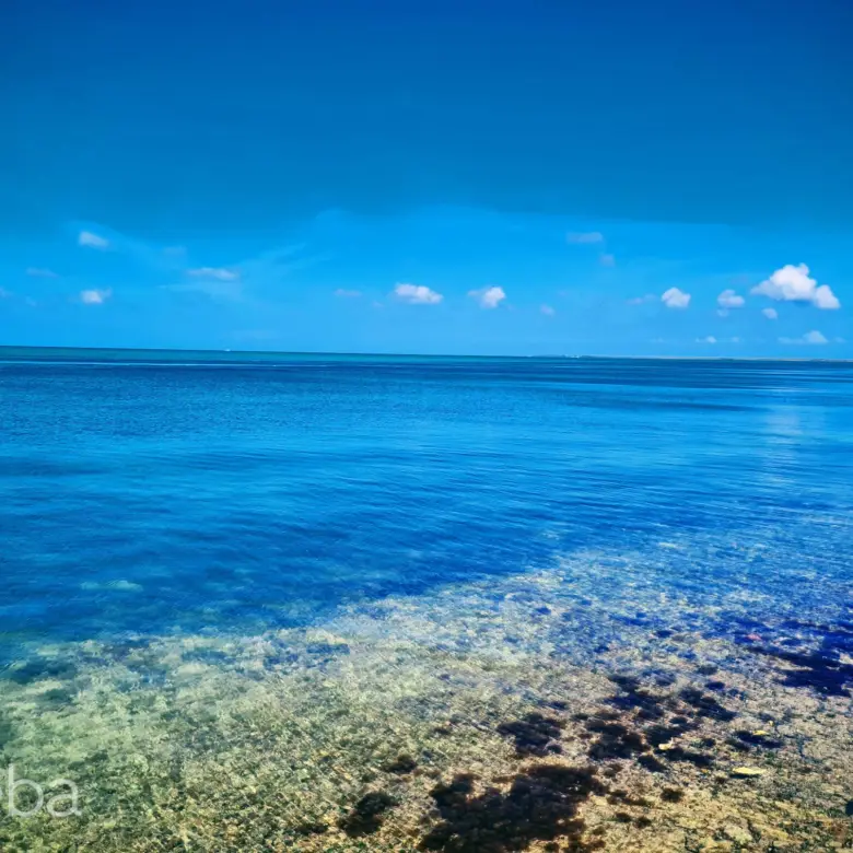 17558912082 PatricksIsland0 46Acre MichaelJoseph PropertyCaymanRealEstate