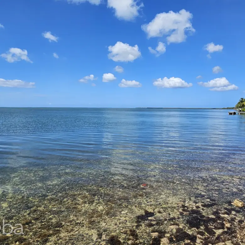 17558912085 PatricksIsland0 46Acre MichaelJoseph PropertyCaymanRealEstate