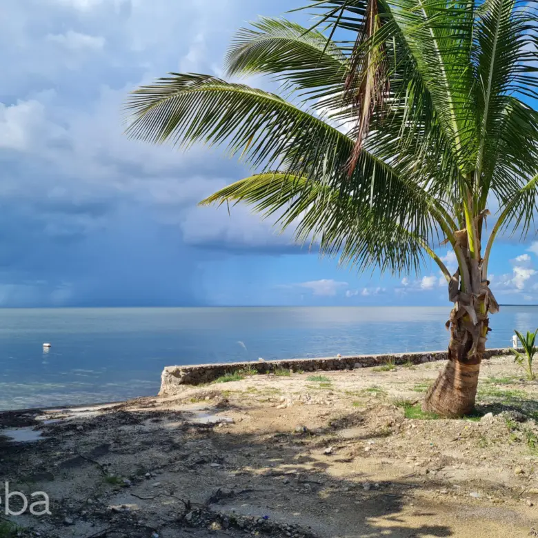 17558912086 PatricksIsland0 46Acre MichaelJoseph PropertyCaymanRealEstate