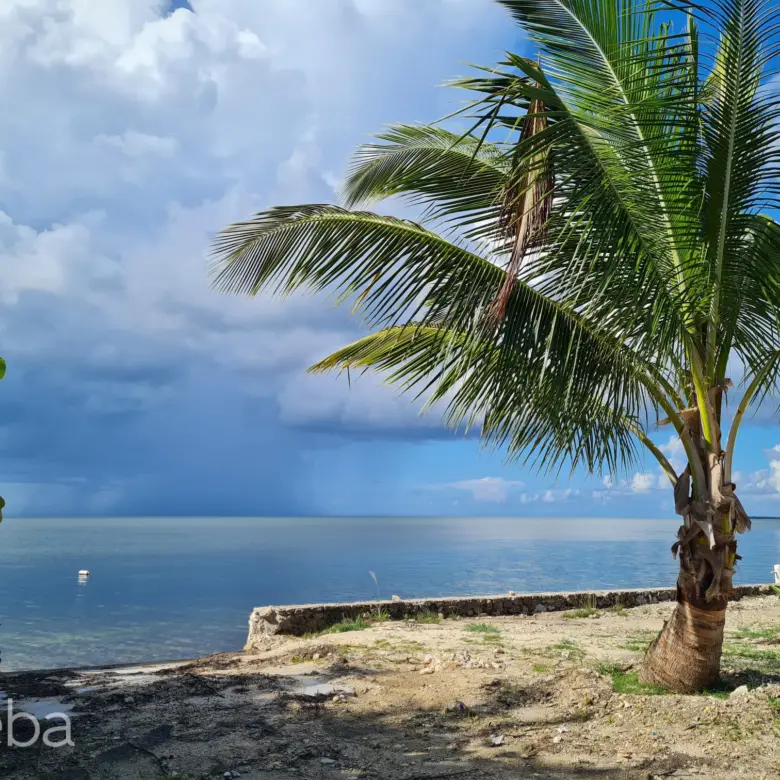 17558912094 PatricksIsland0 46Acre MichaelJoseph PropertyCaymanRealEstate