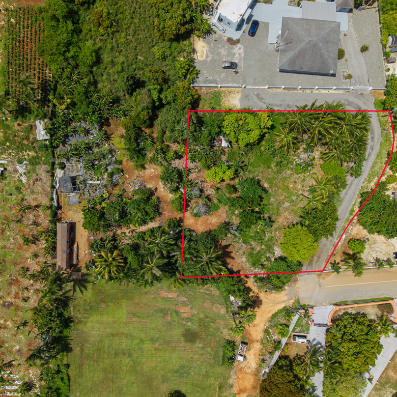 20260611112223 C21 Michelle Fig Tree Drive13