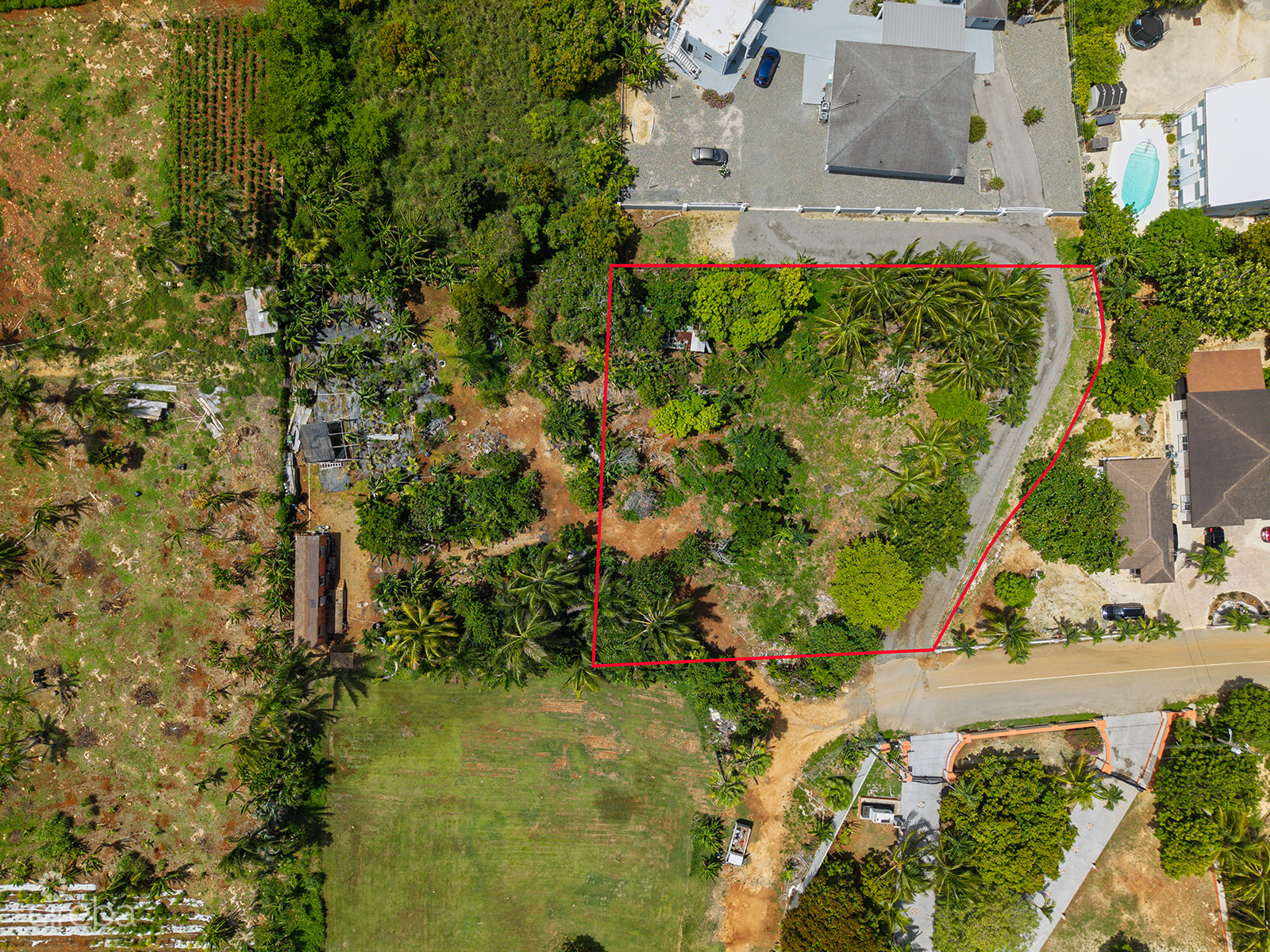 20260611112223 C21 Michelle Fig Tree Drive13